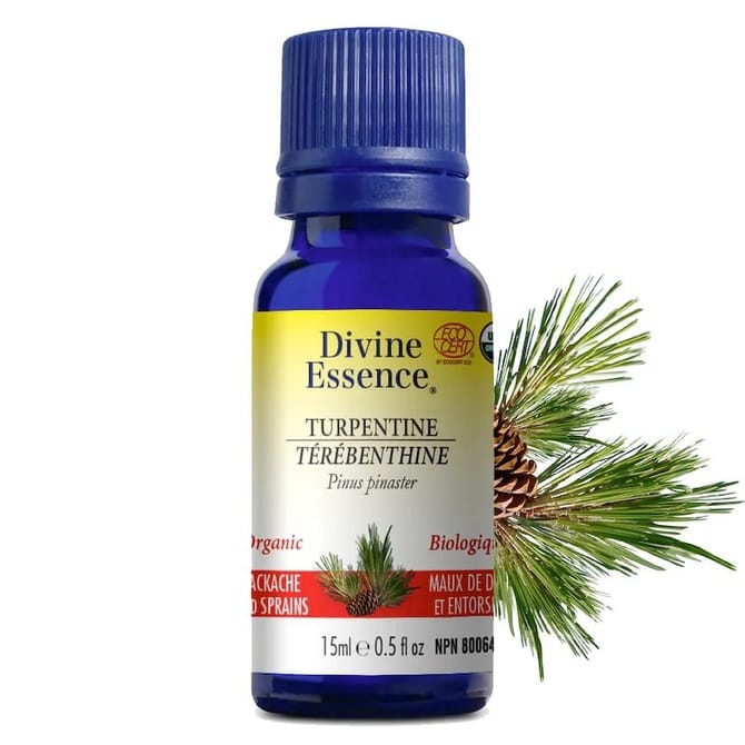 Organic Turpentine Pinus Pinaster Essential Oil - Back Pain
