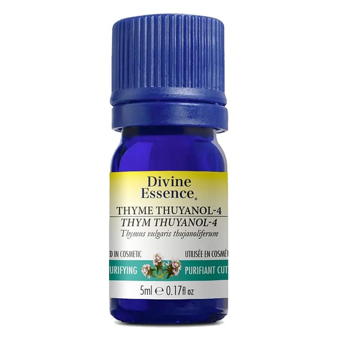 Thyme Thuyanol-4 Essential Oil - Skin Purifying