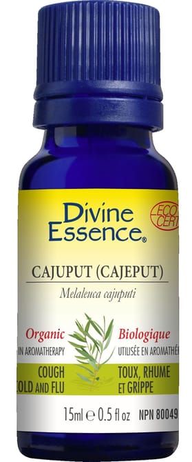 Organic Cajeput Essential Oil